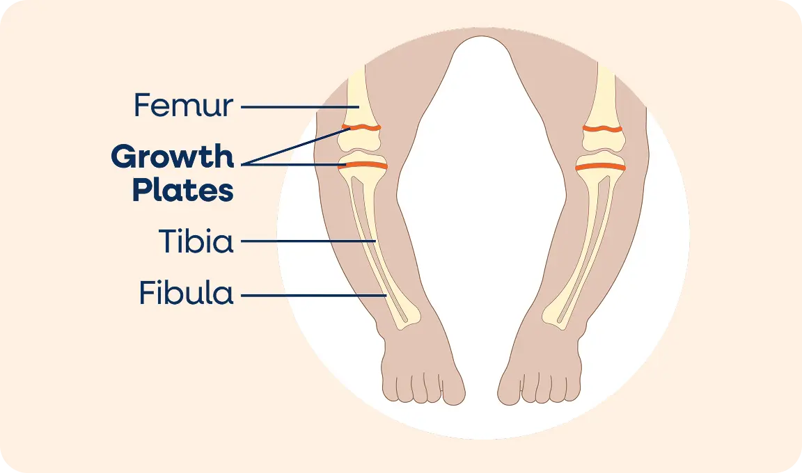 Growth plates diagram